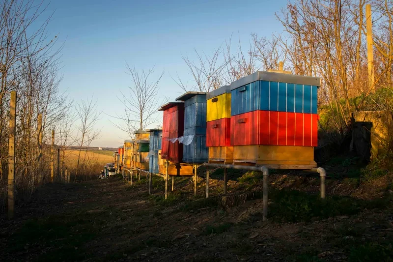 Úl ve včelařství